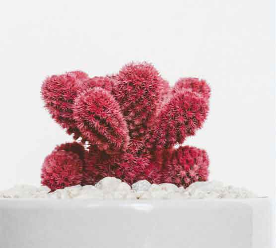 自动发货平台的ddos接单平台