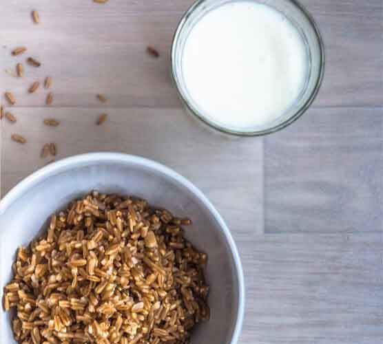 重新定义未来的ddos接单平台